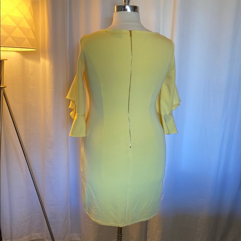 Yellow Ruffle Sleeve Dress - Picture 5 of 9